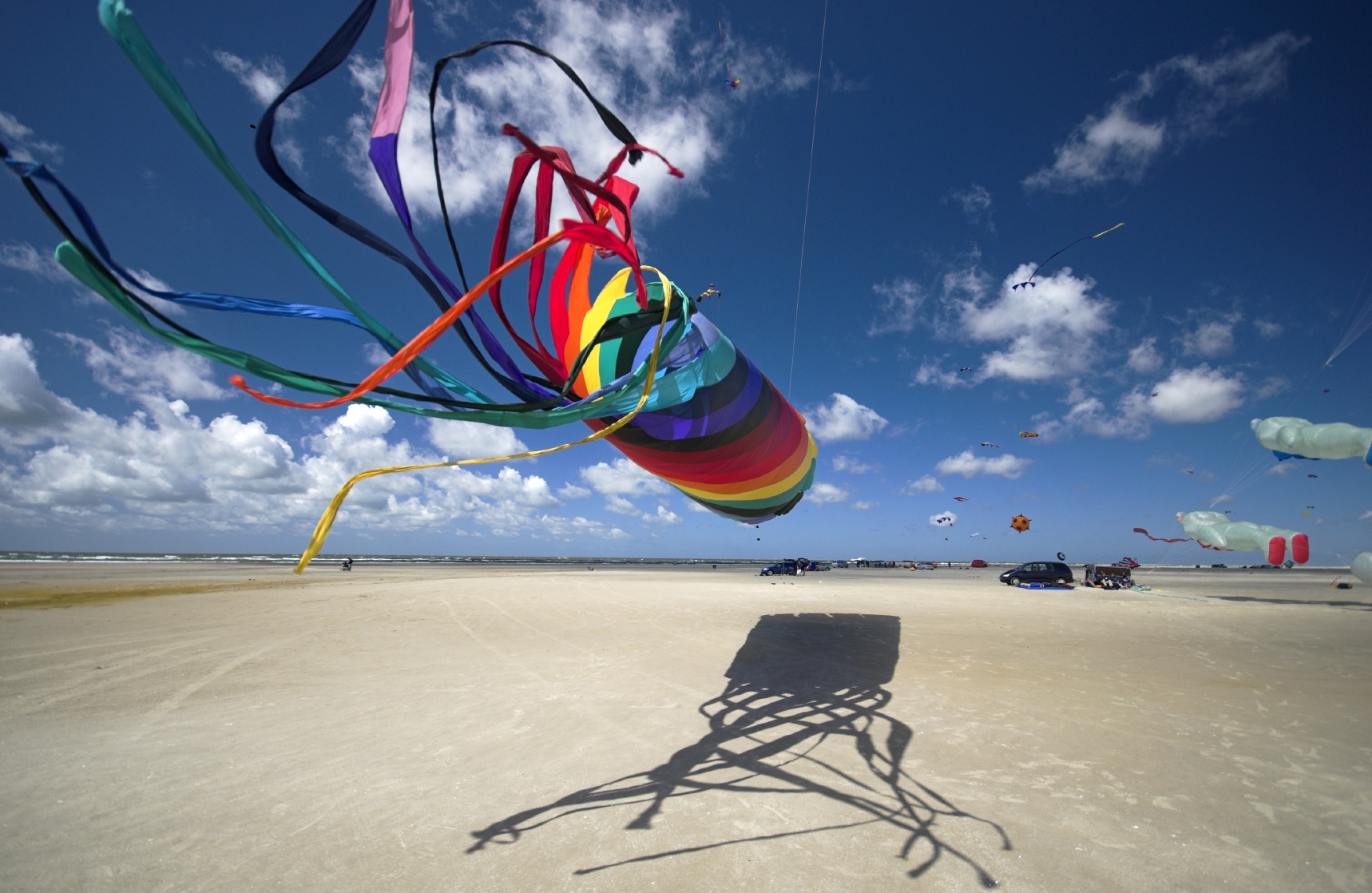 Drachen auf dem Strand von Fanø Drachen auf dem Strand von Fanø
