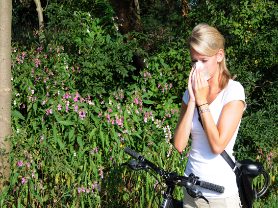 Sommergrippe Sommergrippe