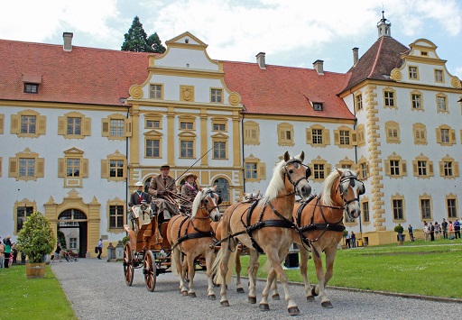 Traditionskutschen durch den Linzgau Traditionskutschen durch den Linzgau