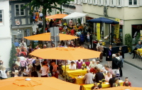 Foto: Thomas Mayr