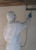 Abtöten von Schimmelpilz