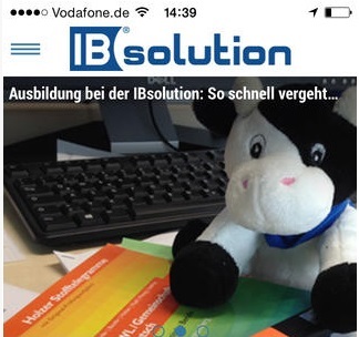 Elsa Blog / IBsolution GmbH Elsa Blog / IBsolution GmbH