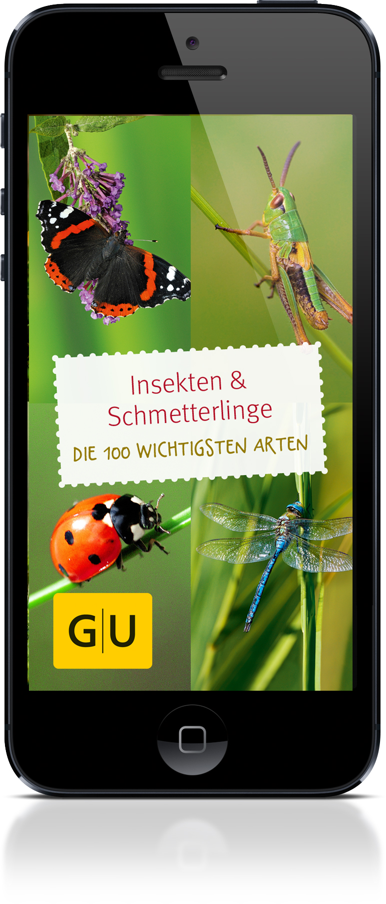 Insekten mitdem iPhone bestimmen