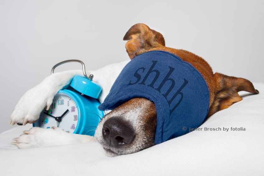 Tiefenentspannung durch einen Powernap Tiefenentspannung durch einen Powernap