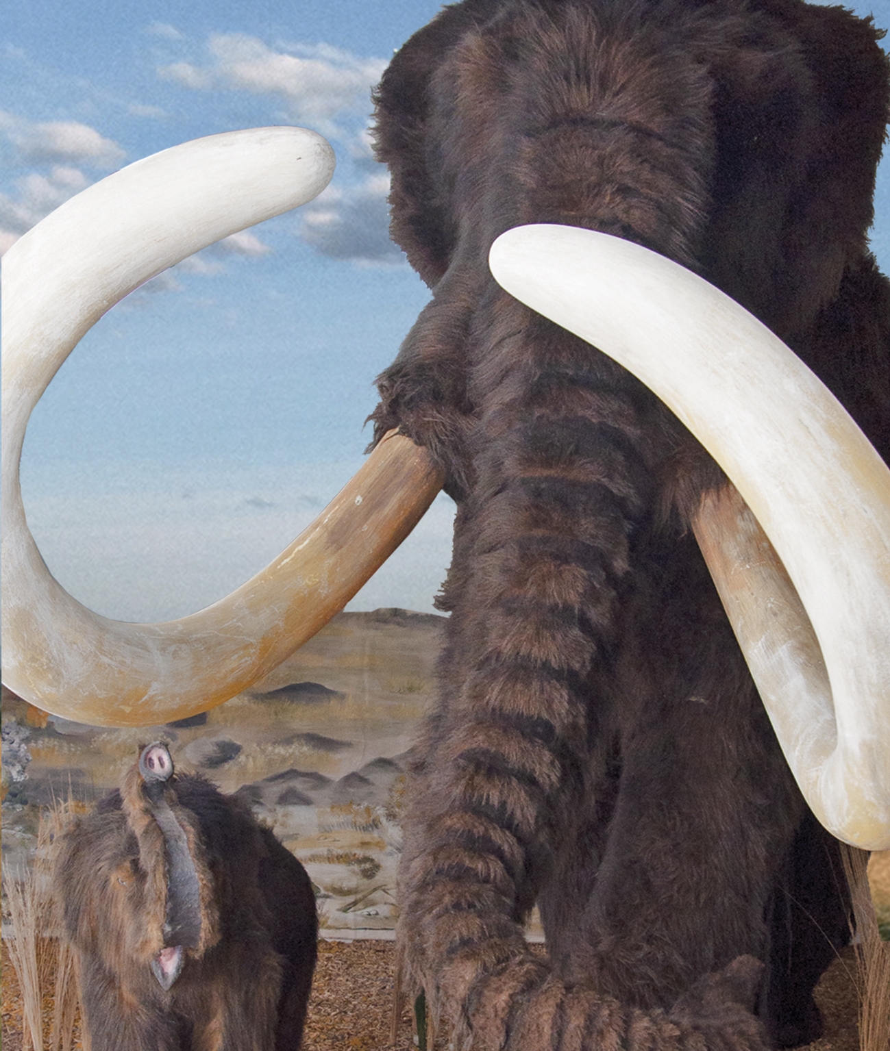 Ein Riesenmammut mit seinem Jungtier Ein Riesenmammut mit seinem Jungtier