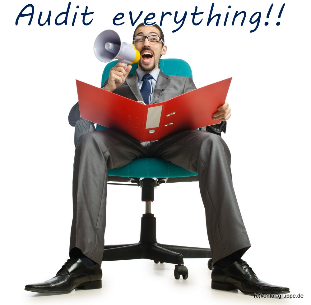 Audit gemäß DIN EN ISO 19011: Fragen wagen, durch Fragen führen und Transparenz schaffen