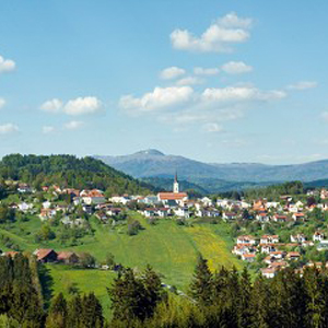 Luftkurort Markt Schönberg