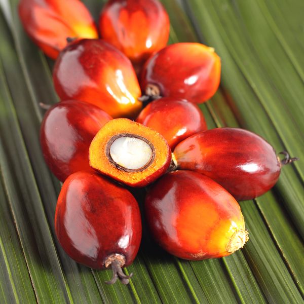 Foto: Fotolia (No. 5072)