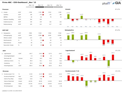 Dashboard Template für Ihr SAP System nach IBCS/Hichert