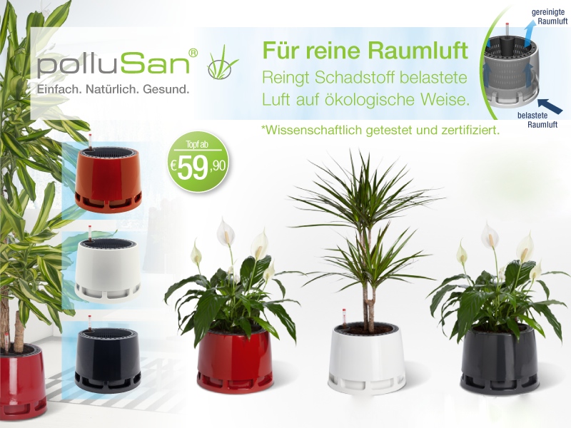 polluSan - Raumluftreinigung mit Zimmerpflanzen www.pollusan.de polluSan - Raumluftreinigung mit Zimmerpflanzen www.pollusan.de