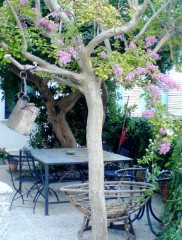 Garten des Ca' Mosaico