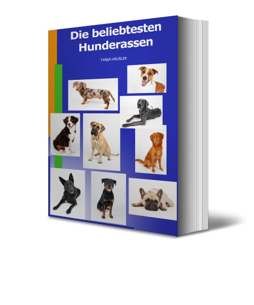 Die beliebtesten Hunderassen