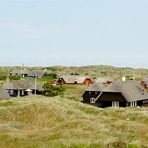 Typische Reetdach-Ferienhäuser in Blavand Typische Reetdach-Ferienhäuser in Blavand