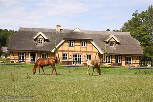 mit-Pferden-reisen.de informiert: Reiten auf Rügen - Ferien auf der Reitanlage Tegelhof mit-Pferden-reisen.de informiert: Reiten auf Rügen - Ferien auf der Reitanlage Tegelhof