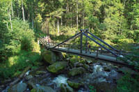 Naturpark Frankenwald - Wandern im Höllental Naturpark Frankenwald - Wandern im Höllental