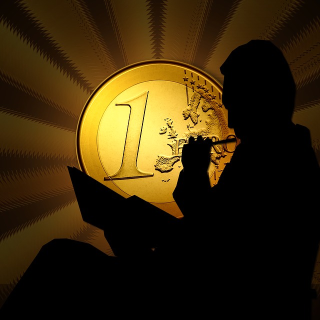 Lizenz-Public Domain CC0 - http://pixabay.com/de - euro-317927