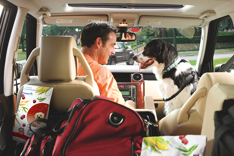 In diesem Sommer macht BENEFUL ausgewählte Autohöfe besonders hundefreundlich! In diesem Sommer macht BENEFUL ausgewählte Autohöfe besonders hundefreundlich!