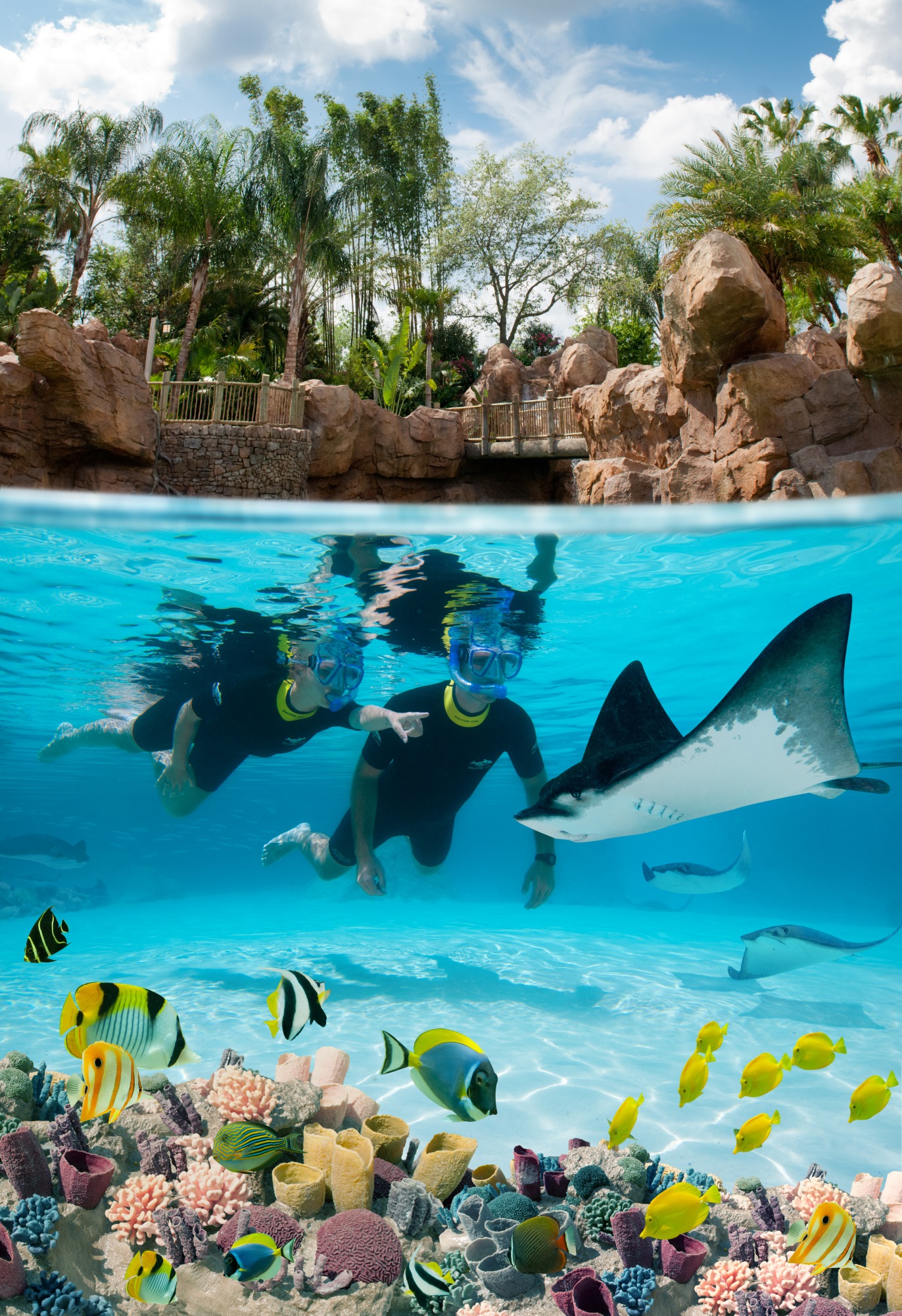 Schnorcheln im Grand Reef von Discovery Cove Schnorcheln im Grand Reef von Discovery Cove
