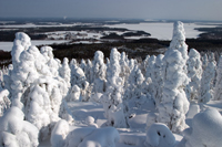 Winderwunderland Ostfinnland