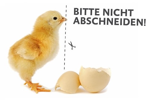 Schnabelkürzen bei Legehennen wird praktisch bundesweit abgeschafft