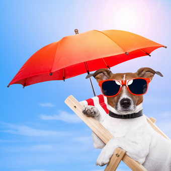 Ab in den Urlaub