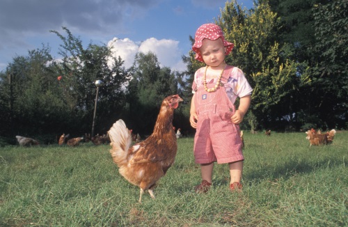 Landtourismus: Ferien auf dem Bio-Bauernhof Landtourismus: Ferien auf dem Bio-Bauernhof
