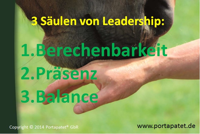 Drei Säulen von Leadership