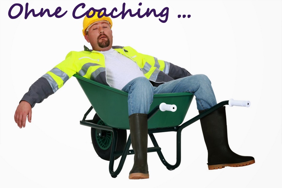 Coaching: Ein Kollaretalschaden im Qualitätsmanagement? Coaching: Ein Kollaretalschaden im Qualitätsmanagement?