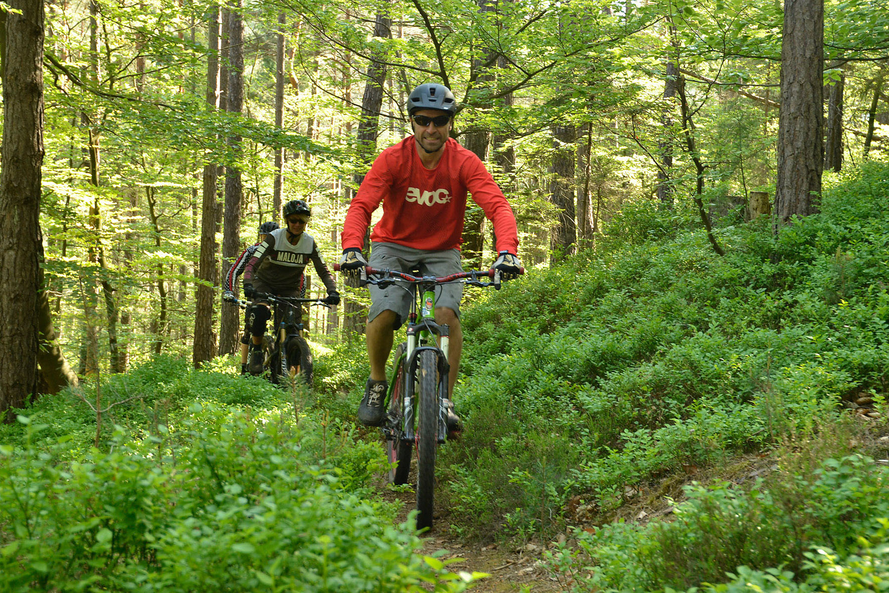 Viele bezaubernde Trails durchziehen den Pfälzerwald. Sie lassen das Biken zum Naturerlebnis werden. Viele bezaubernde Trails durchziehen den Pfälzerwald. Sie lassen das Biken zum Naturerlebnis werden.
