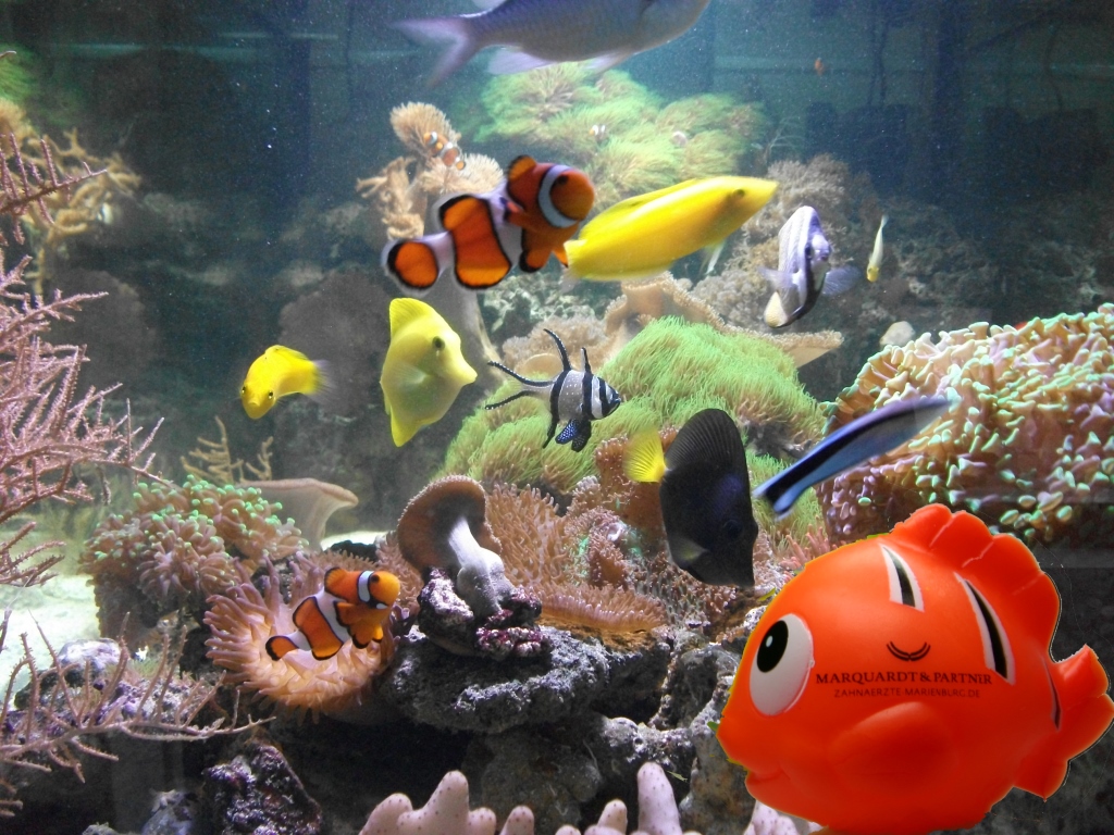 Aquarium