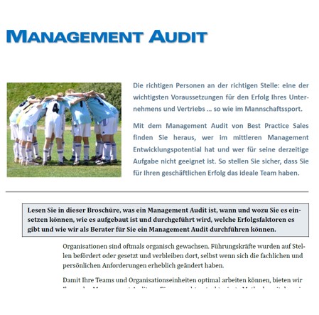 Broschüre Management-Audit von Best Practice Sales