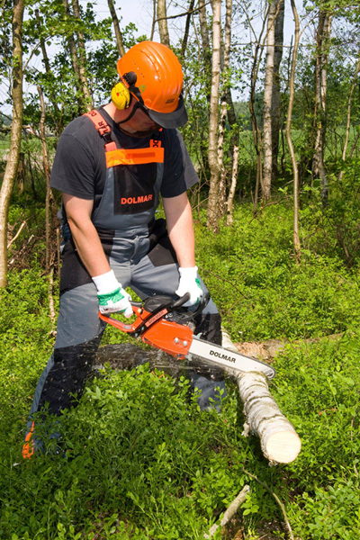 Die Dolmar PS-32 C im Brennholz-Einsatz.