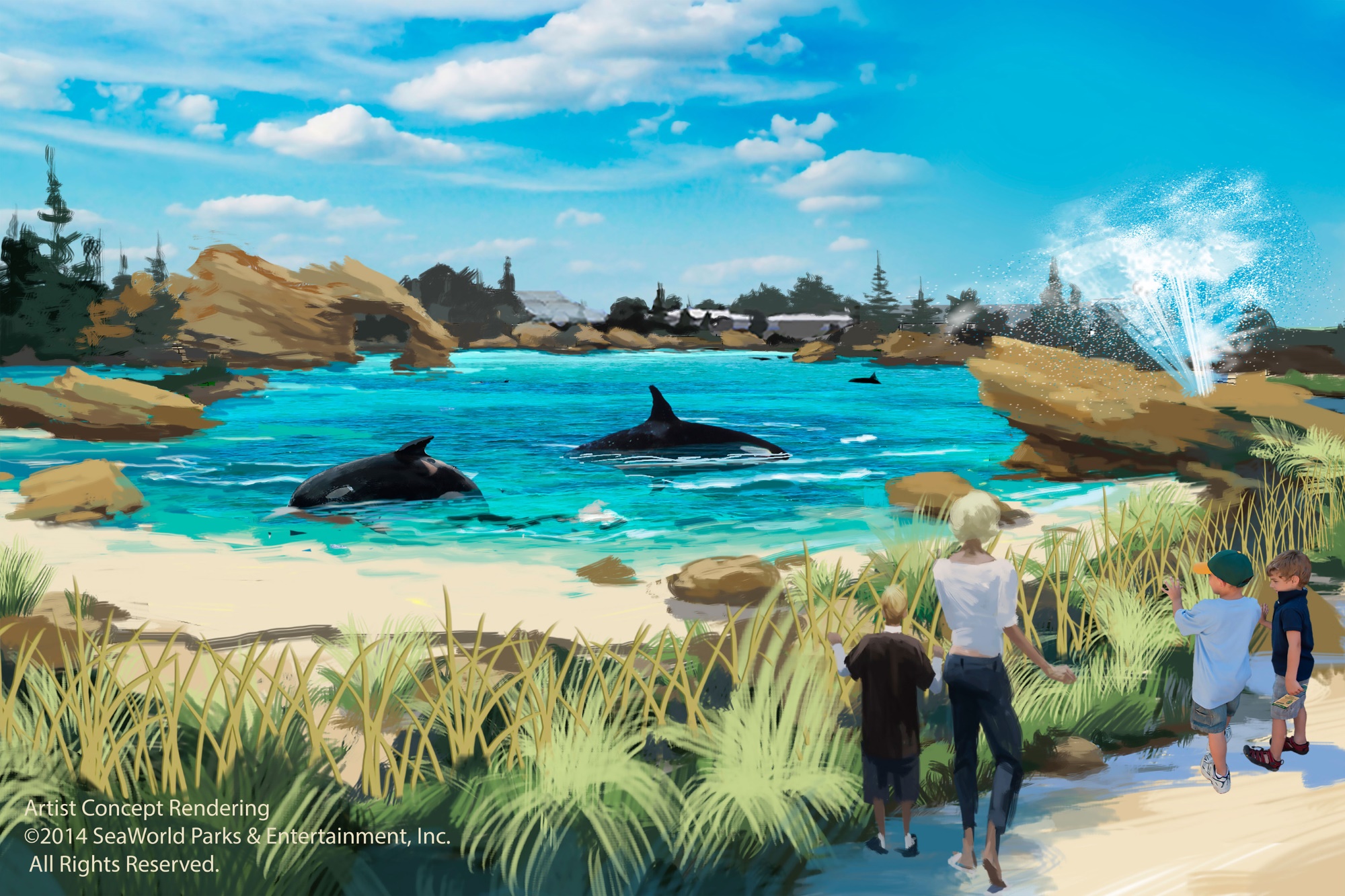 Nahe Strandbegegnung der SeaWorld Besucher mit den Killerwalen Nahe Strandbegegnung der SeaWorld Besucher mit den Killerwalen