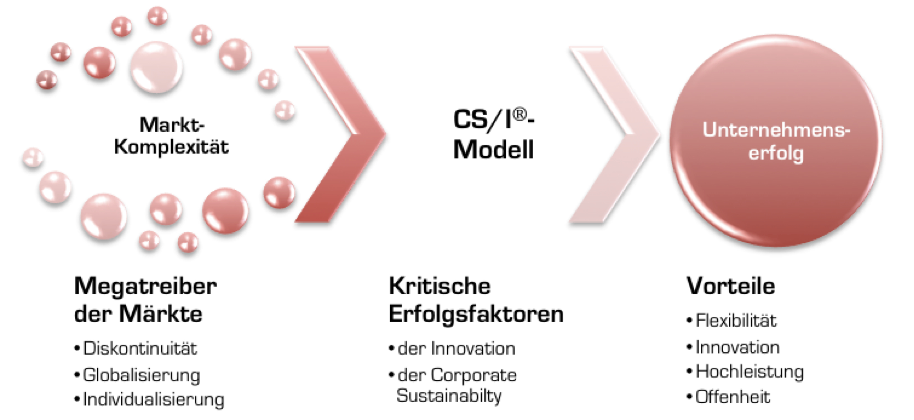 Von der Komplexität zum Erfolg mit dem CS/I-Modell Von der Komplexität zum Erfolg mit dem CS/I-Modell