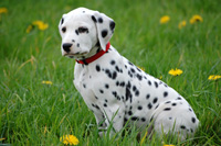 Bildquelle: (c) Annette Kurka - fotolia.com Bildquelle: (c) Annette Kurka - fotolia.com