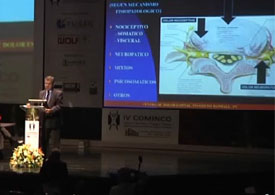 IV Brazilian Congress of Minimally Invasive Spine Surgery
