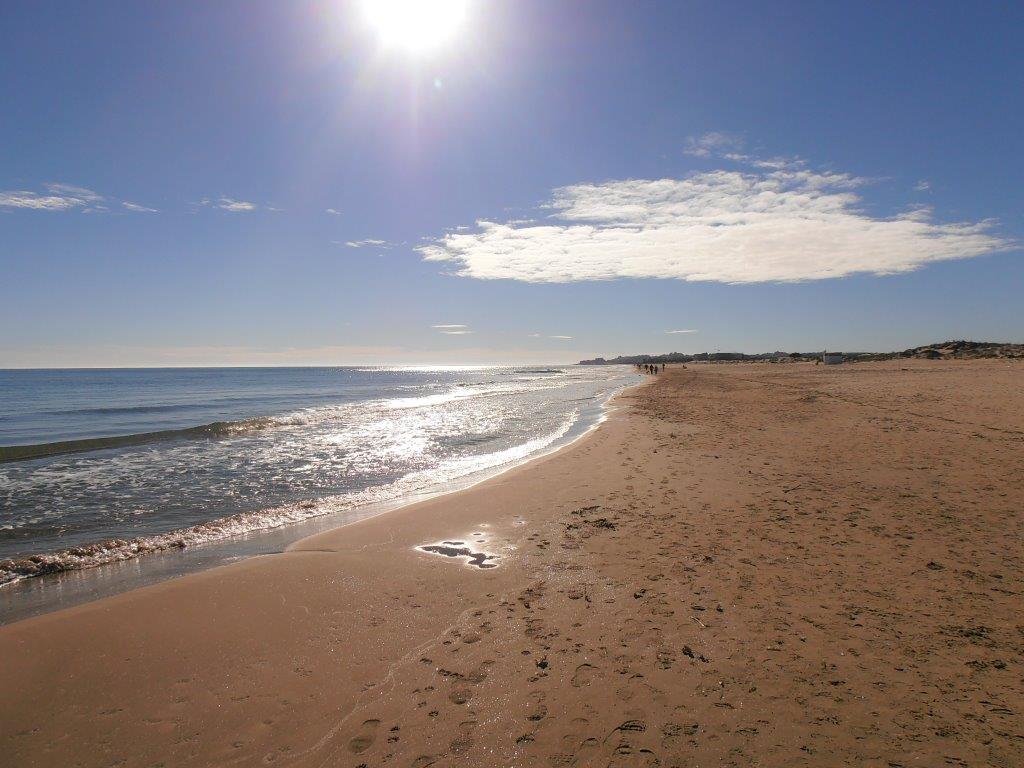 Am Meer wohnen und arbeiten - wo andere Urlaub machen