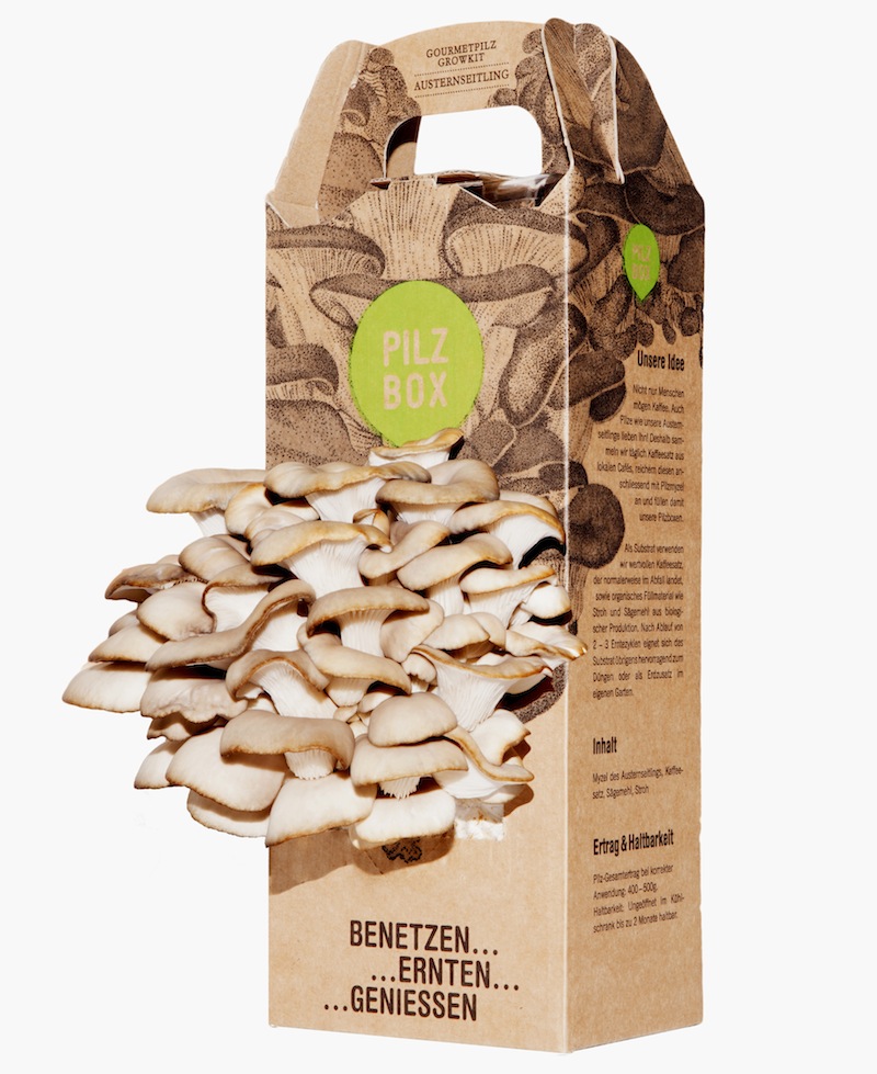 Pilzgenuss?homemade?- mit der Verpackung von DS Smith ist die Züchtung zu Hause möglich. Pilzgenuss?homemade?- mit der Verpackung von DS Smith ist die Züchtung zu Hause möglich.