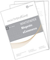 Whitepaper Magento SEO Whitepaper Magento SEO