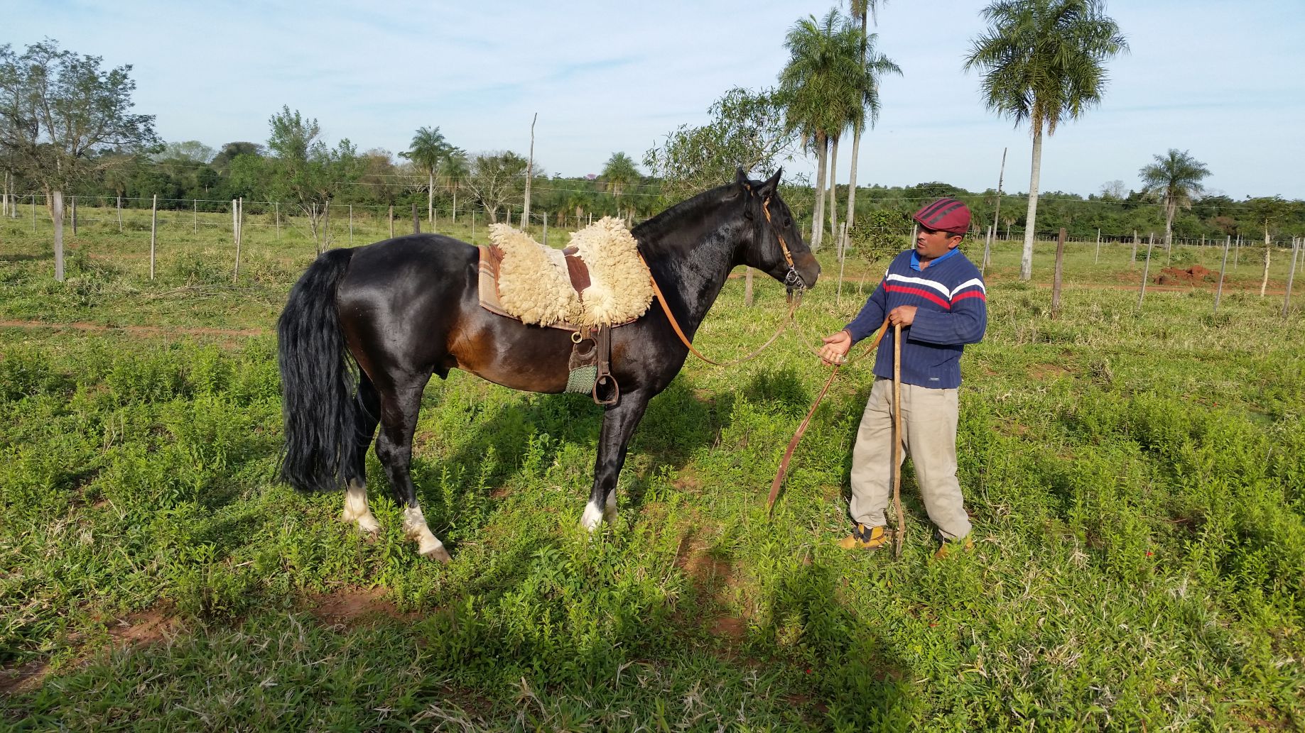 Gauchos betreuen die Rinderherden der Rinca GmbH in Paraguay - damit der Ertrag stimmt. Gauchos betreuen die Rinderherden der Rinca GmbH in Paraguay - damit der Ertrag stimmt.