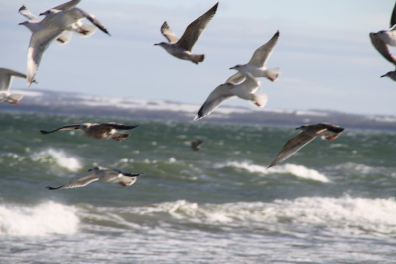 Ostseeparadies