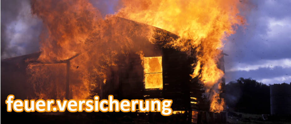 Google bevorzugt Versicherung-Domains, weil sie ein Schlüsselwort rechts vom Punkt enthalten Google bevorzugt Versicherung-Domains, weil sie ein Schlüsselwort rechts vom Punkt enthalten