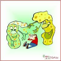 Niekao Lernwelten Influenza Niekao Lernwelten Influenza