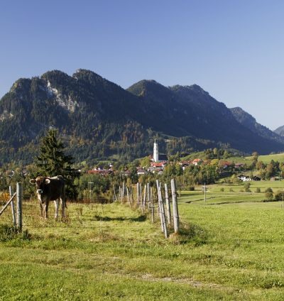 Blick auf das Pfrontener Tal©Pfronten Tourismus Blick auf das Pfrontener Tal©Pfronten Tourismus