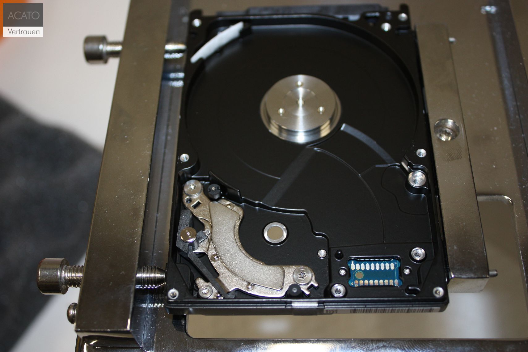 Datenrettung Transplantation