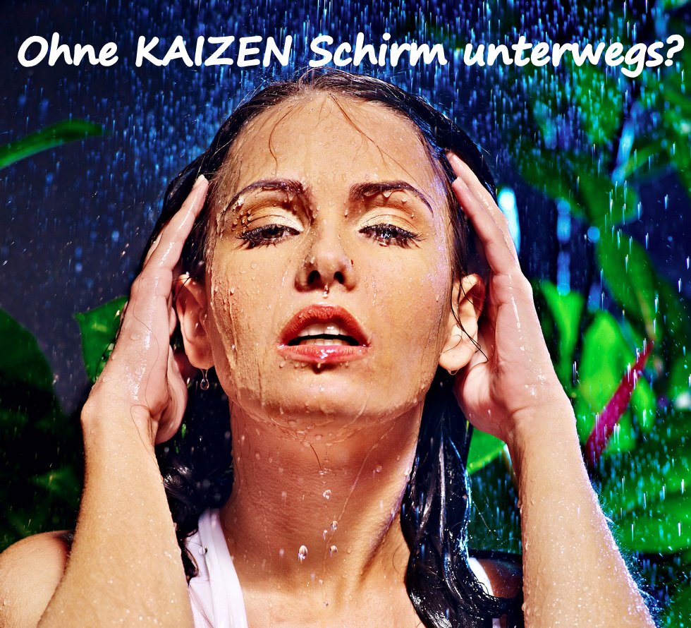 KAIZEN - Die Veränderung zur Verbesserung