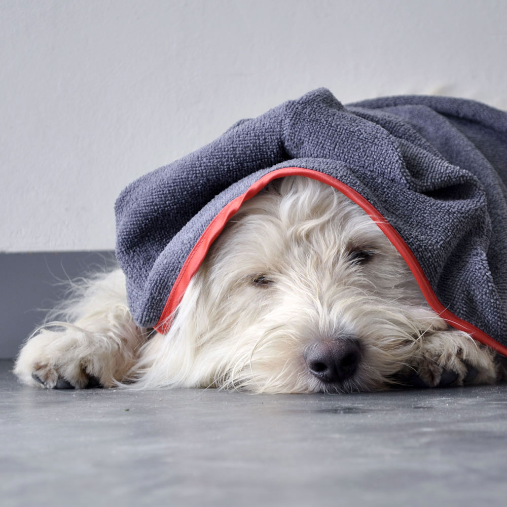 Nach dem Schwimmen schön kuscheln mit dem Hundehandtuch von piccobello