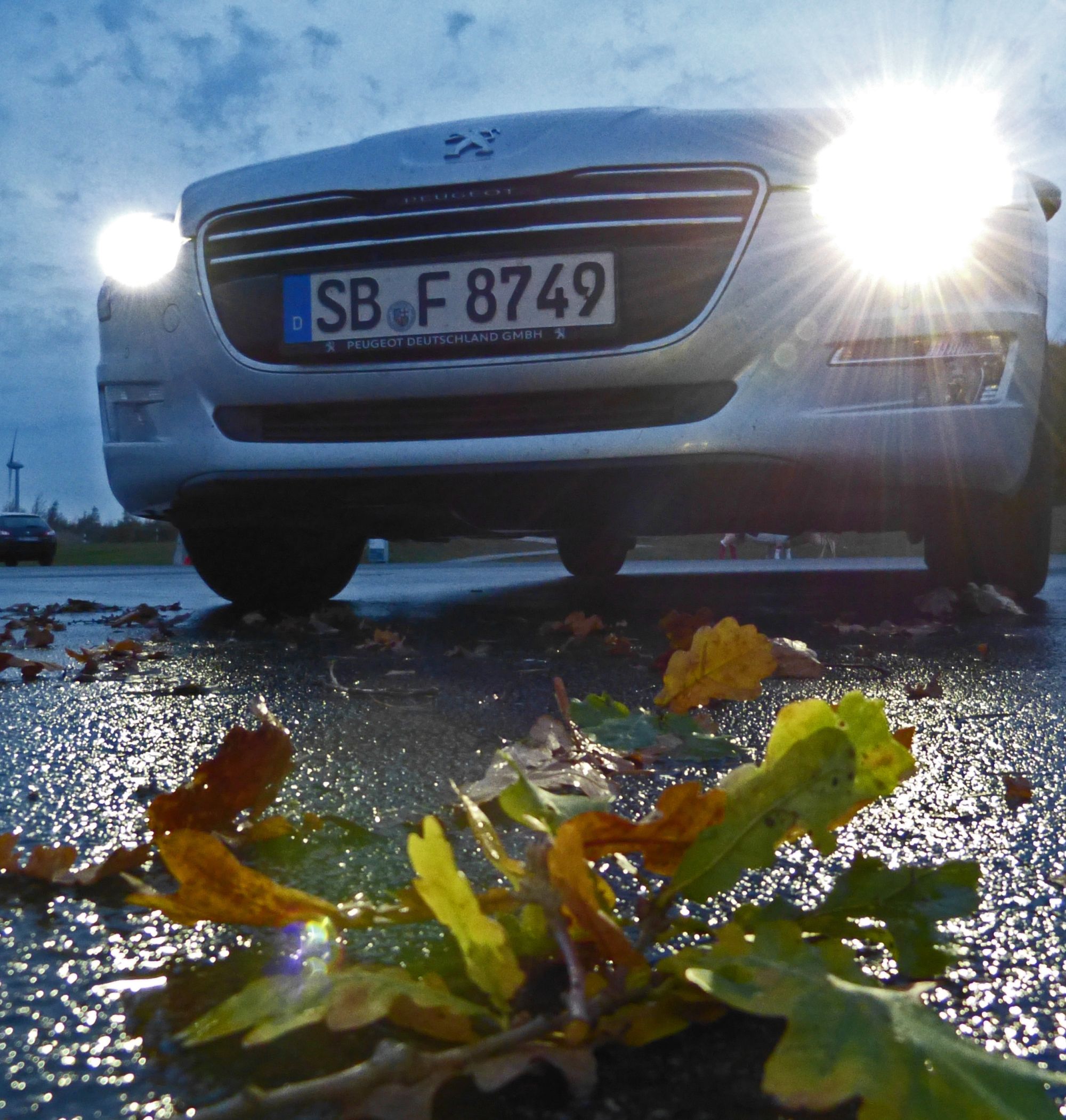 Das Pkw-Wild& Wetter-Training macht Autofahrer fit für den Herbst und Winter.