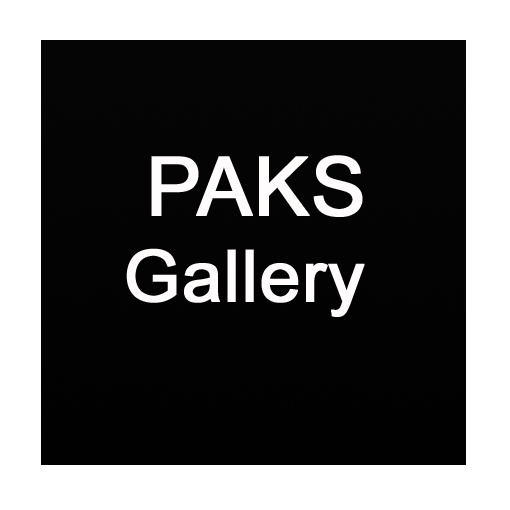 PAKS Gallery - Gallery for modern art. PAKS Gallery - Gallery for modern art.