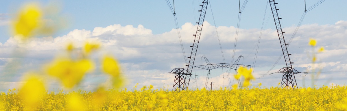 Noch ist offen, wie es mit der Energieversorgung in Bayern weitergeht. Noch ist offen, wie es mit der Energieversorgung in Bayern weitergeht.
